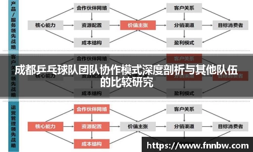 成都乒乓球队团队协作模式深度剖析与其他队伍的比较研究